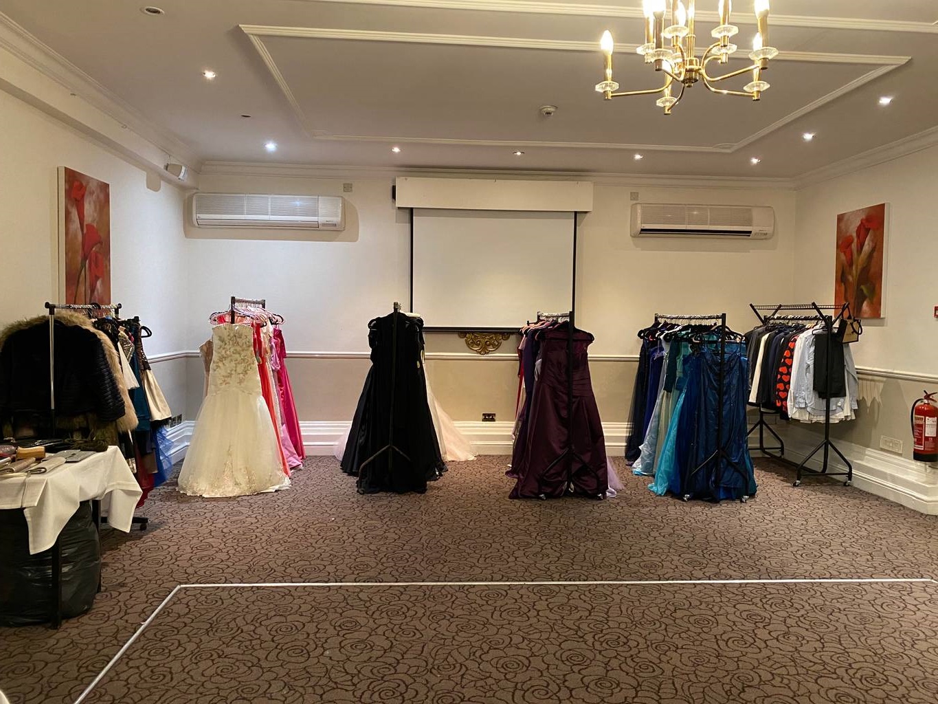 Salisbury Prom dress donation service helps 48 students this year